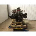 Ford 429 Engine Assembly thumbnail 2