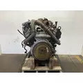 Ford 6.0L Engine Assembly thumbnail 5