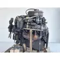 Ford 7.0 LITER  429 GAS Engine Assembly thumbnail 3