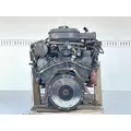 Ford 7.0 LITER  429 GAS Engine Assembly thumbnail 7