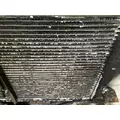 Ford B800 Cooling Assembly. (Rad., Cond., ATAAC) thumbnail 8