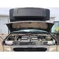 Ford E450 Hood thumbnail 3