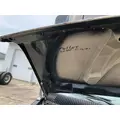 Ford E450 Hood thumbnail 4