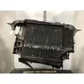 Ford F450 SUPER DUTY Cooling Assembly. (Rad., Cond., ATAAC) thumbnail 2