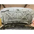 Ford F450 SUPER DUTY Hood thumbnail 8