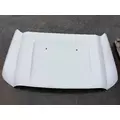 Ford F450 SUPER DUTY Hood thumbnail 1