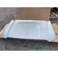 Ford F450 SUPER DUTY Hood thumbnail 2