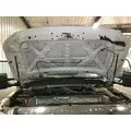 Ford F450 SUPER DUTY Hood thumbnail 6