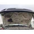 Ford F450 SUPER DUTY Hood thumbnail 2