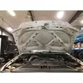 Ford F550 SUPER DUTY Hood thumbnail 2