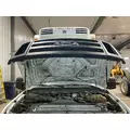 Ford F550 SUPER DUTY Hood thumbnail 8