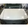 Ford F550 SUPER DUTY Hood thumbnail 3