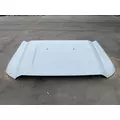 Ford F550 SUPER DUTY Hood thumbnail 1