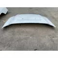 Ford F550 SUPER DUTY Hood thumbnail 2