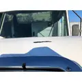 Ford F59 Hood thumbnail 6