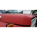 Ford F600 Hood thumbnail 3