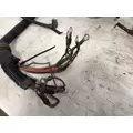 Ford F650 Cab Wiring Harness thumbnail 5