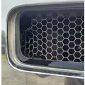 Ford F650 Grille thumbnail 4