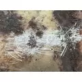 Ford Other DPF (Diesel Particulate Filter) thumbnail 1