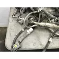 Freightliner 114SD Cab Wiring Harness thumbnail 4