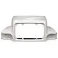 Freightliner C120 CENTURY Hood thumbnail 2
