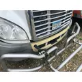 Freightliner CASCADIA Bumper Assembly, Front thumbnail 3