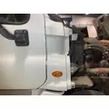 Freightliner CASCADIA Cab Assembly thumbnail 1