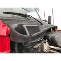 Freightliner CASCADIA Cab Assembly thumbnail 2