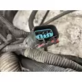 Freightliner CASCADIA Cab Wiring Harness thumbnail 5
