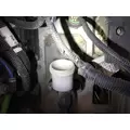 Freightliner CASCADIA Clutch Master Cylinder thumbnail 4