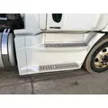 Freightliner CASCADIA Fairing (Side) thumbnail 1