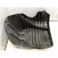 Freightliner CASCADIA Fender thumbnail 2