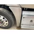 Freightliner CASCADIA Fender thumbnail 1