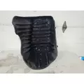 Freightliner CASCADIA Fender thumbnail 2