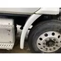 Freightliner CASCADIA Fender thumbnail 1