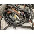Freightliner CASCADIA Fuse Box thumbnail 4