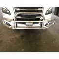Freightliner CASCADIA Grille Guard thumbnail 2
