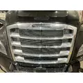 Freightliner CASCADIA Grille thumbnail 1