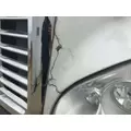 Freightliner CASCADIA Hood thumbnail 13