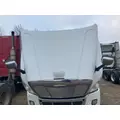 Freightliner CASCADIA Hood thumbnail 9