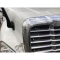 Freightliner CASCADIA Hood thumbnail 11