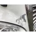 Freightliner CASCADIA Hood thumbnail 12