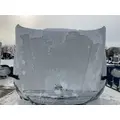 Freightliner CASCADIA Hood thumbnail 13