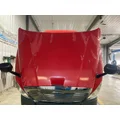 Freightliner CASCADIA Hood thumbnail 10