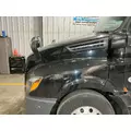 Freightliner CASCADIA Hood thumbnail 1