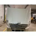 Freightliner CASCADIA Hood thumbnail 6