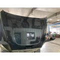 Freightliner CASCADIA Hood thumbnail 11