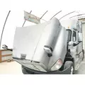 Freightliner CASCADIA Hood thumbnail 6