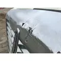 Freightliner CASCADIA Hood thumbnail 15