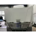 Freightliner CASCADIA Hood thumbnail 12